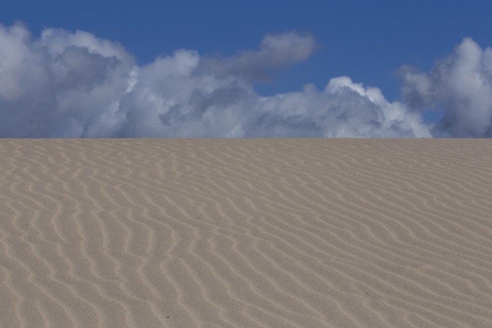 Photograph by Carlos Alberto Sequeira