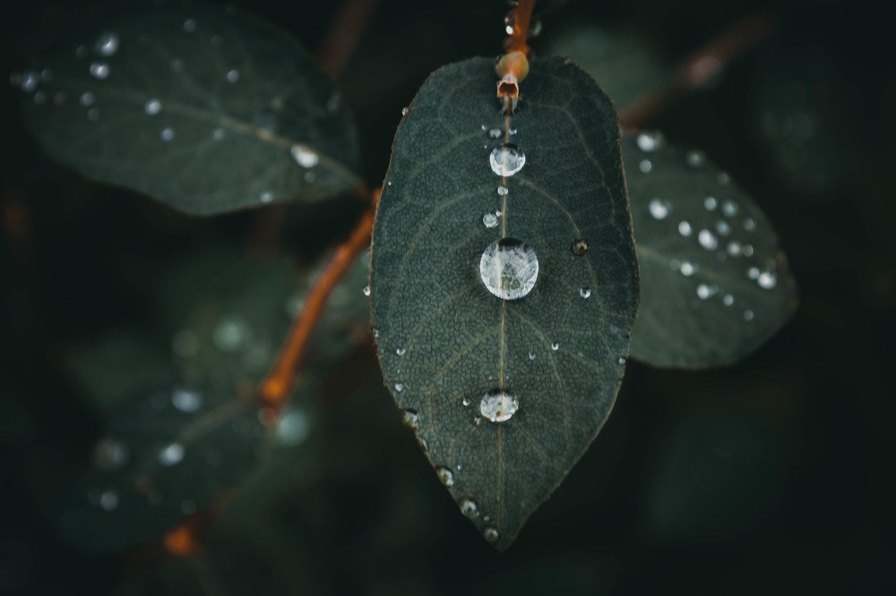 Photograph by Розита Гильманова