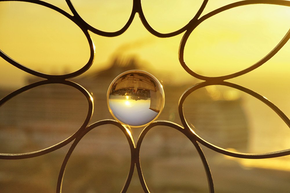 Photograph by Mário C.