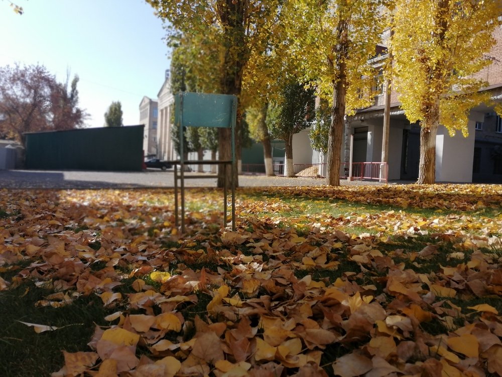 Photograph by Сергей Вантурин