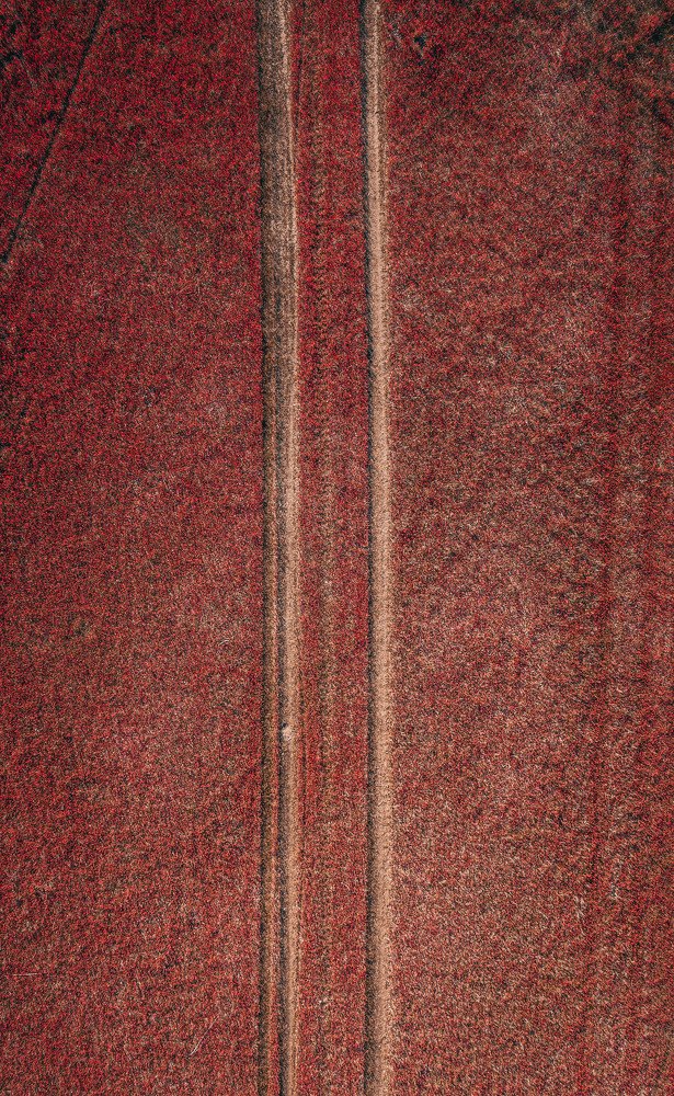 Photograph by Алексей