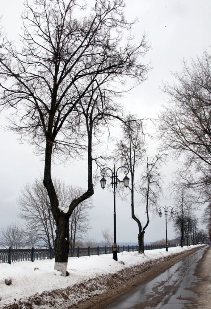 Photograph by Андрей Бойко