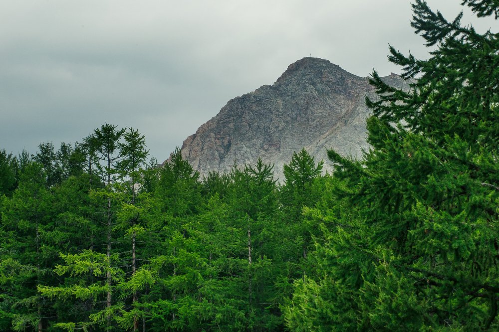 Фотография автора Оркина Ксения