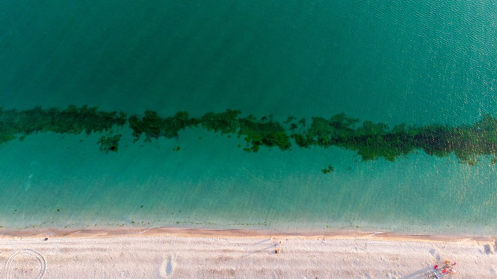 Photograph by Alexandr Marynkin