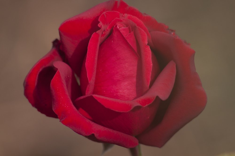 Photograph by Елена Демочкина