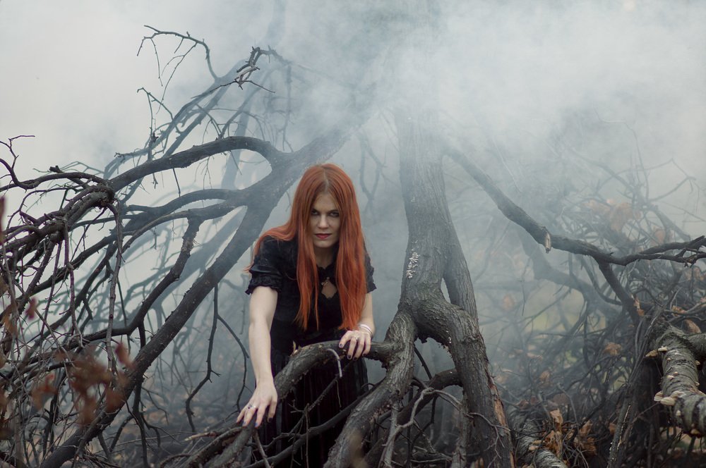 Фотография автора Николай Нестеренко