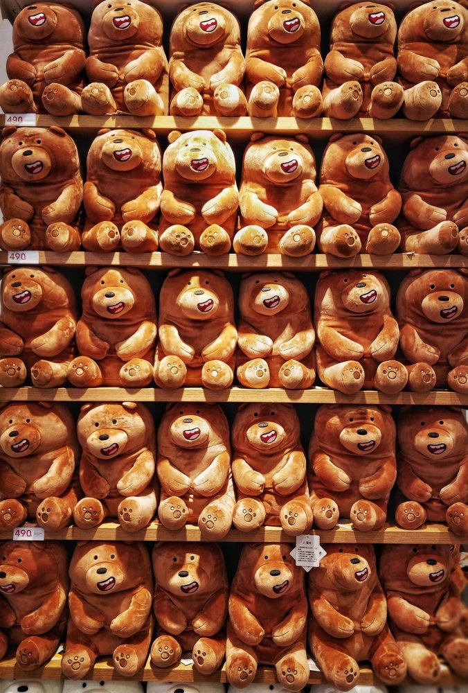 Photograph by Chandrasekhar Sompari