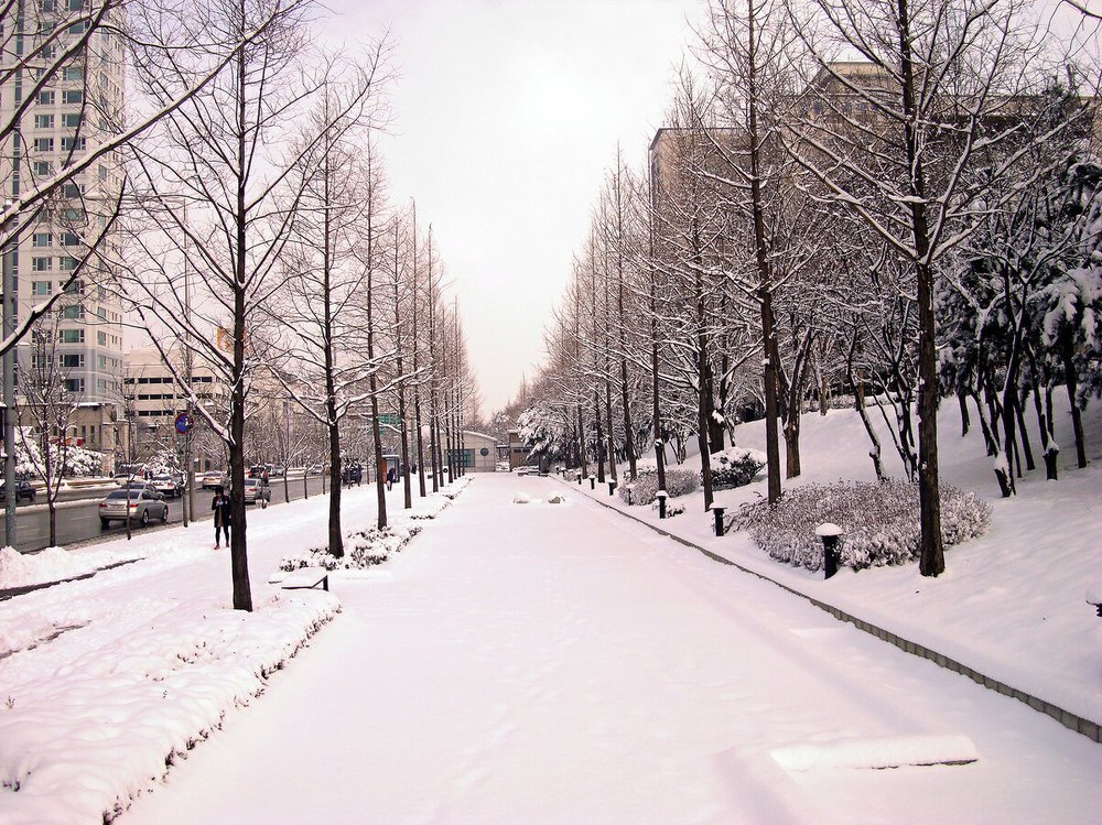 Photograph by 