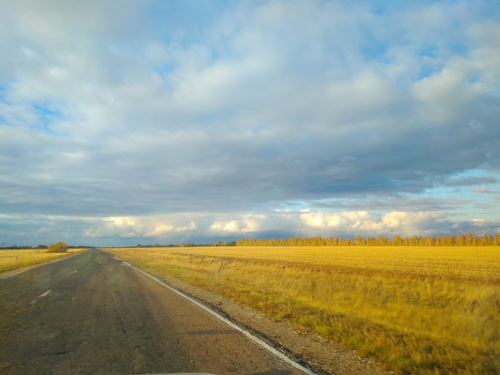 Осень в линиях.