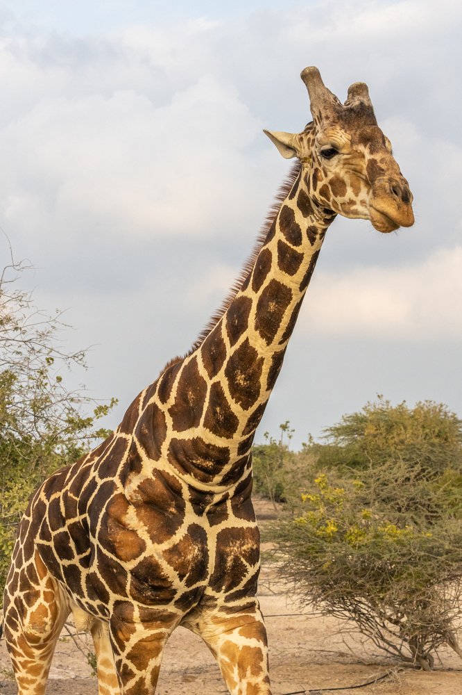 Photograph by Игорь Калинин