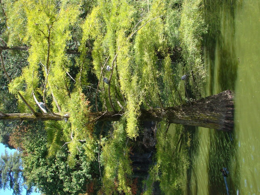 Photograph by Александр