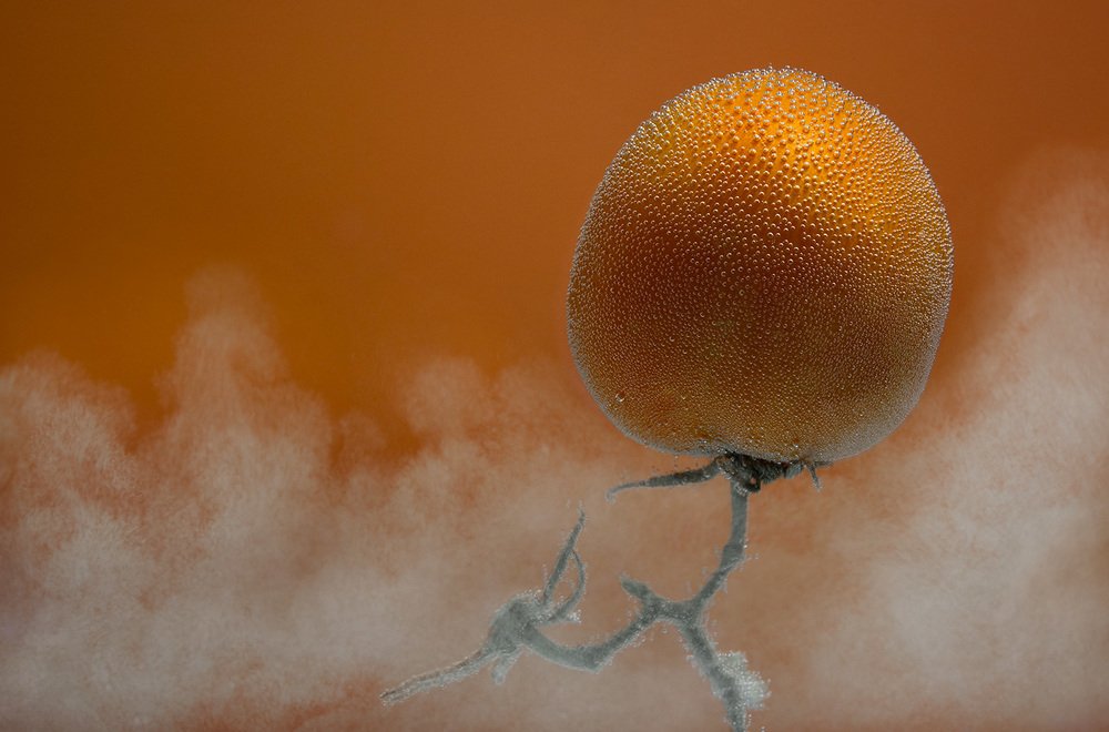 Photograph by Виктория Солодар