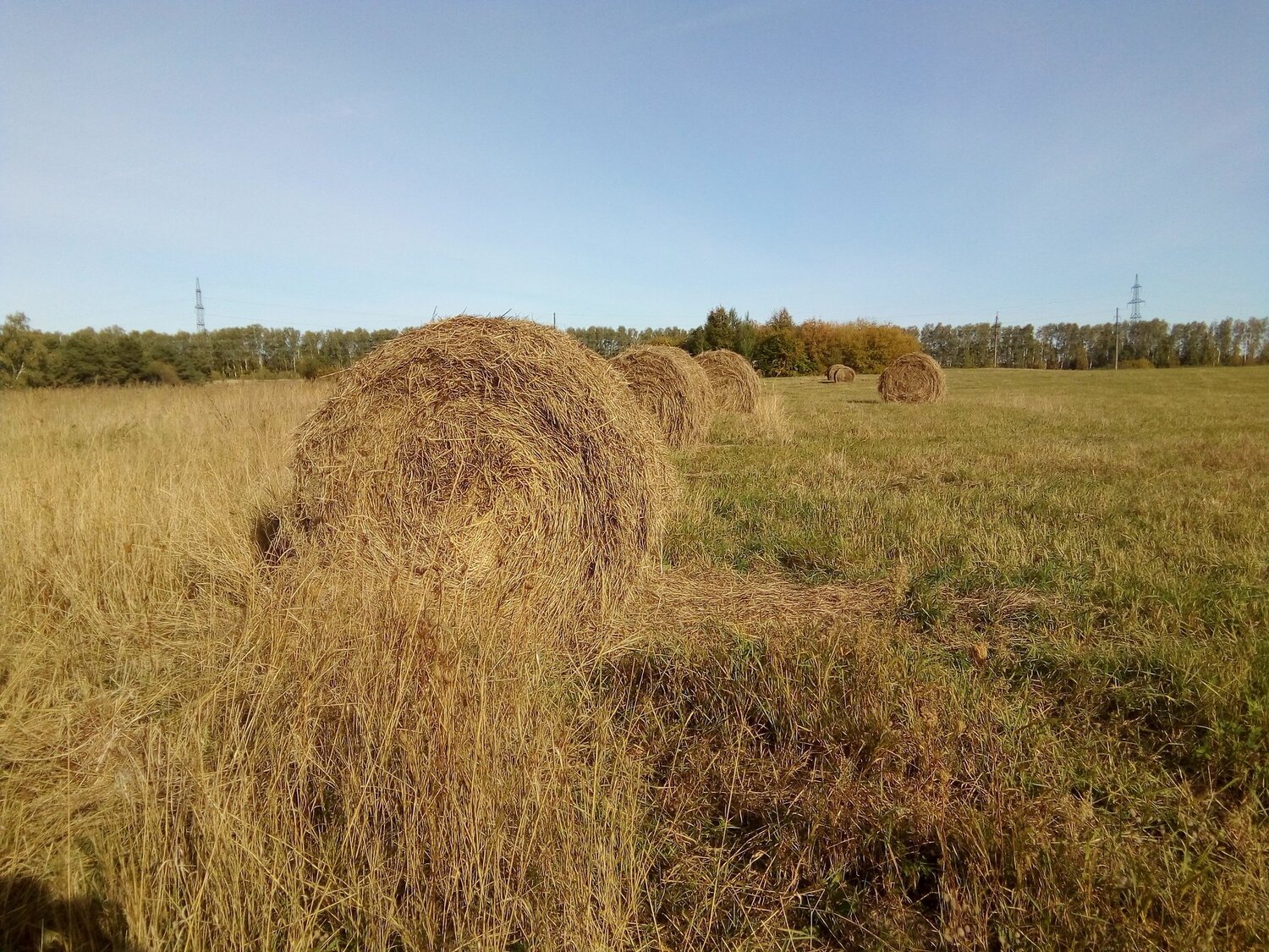 Photo #3783786