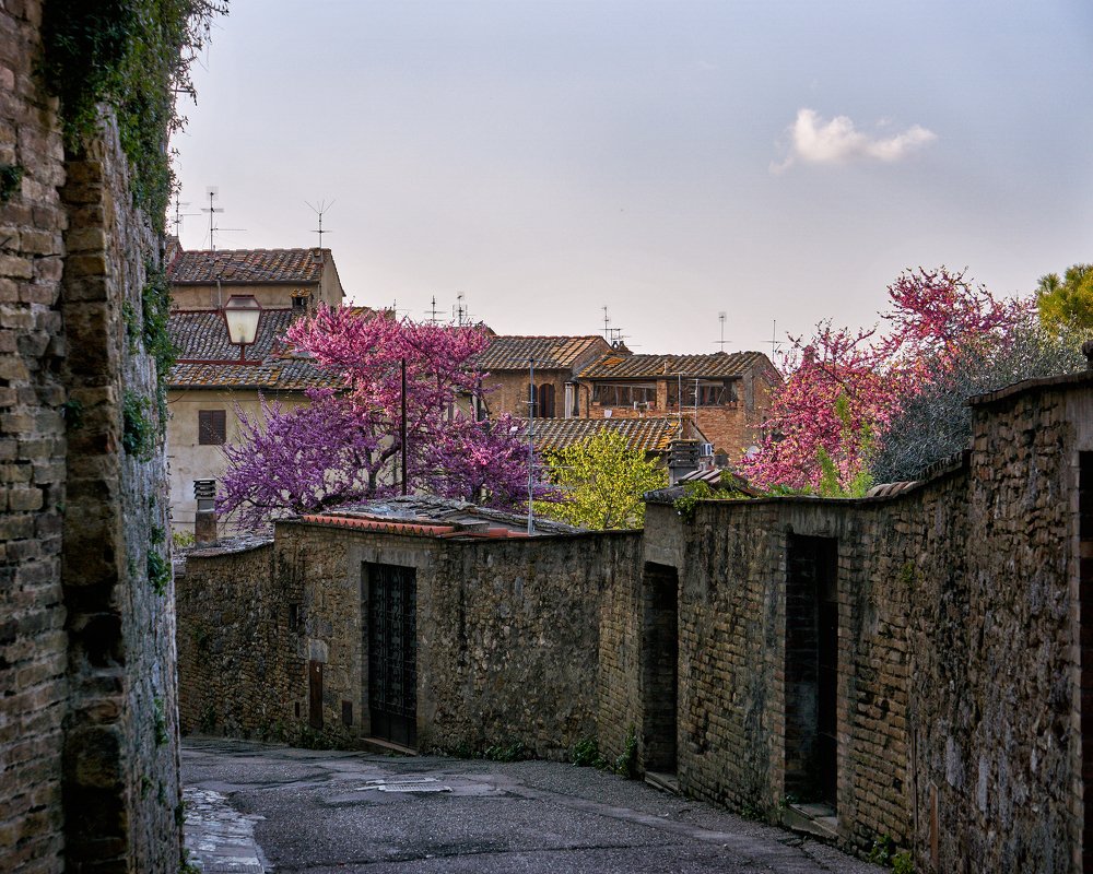 Photograph by 