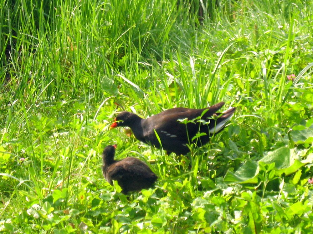 Фотография автора Нина Калинина