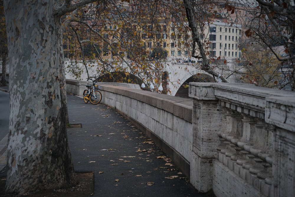 Photo #3783933