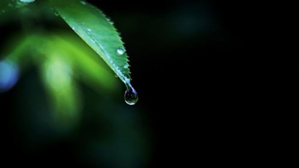 Photograph by Anto Cavar