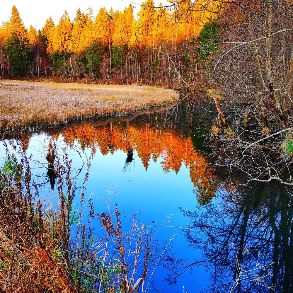 Photograph by Сергей Соломин