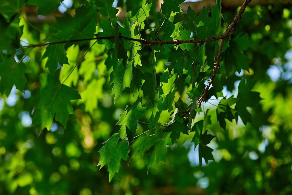 Photograph by Андрей Кузнецов