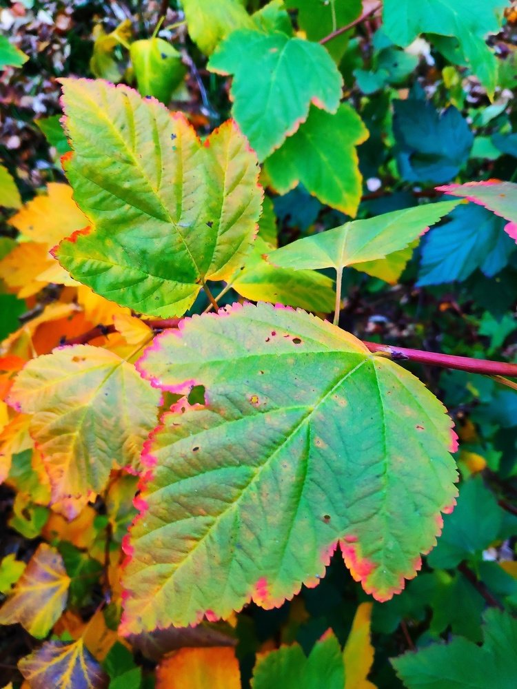 Photograph by Сергей Соломин