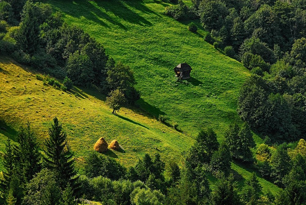 Фотография автора David Solodar