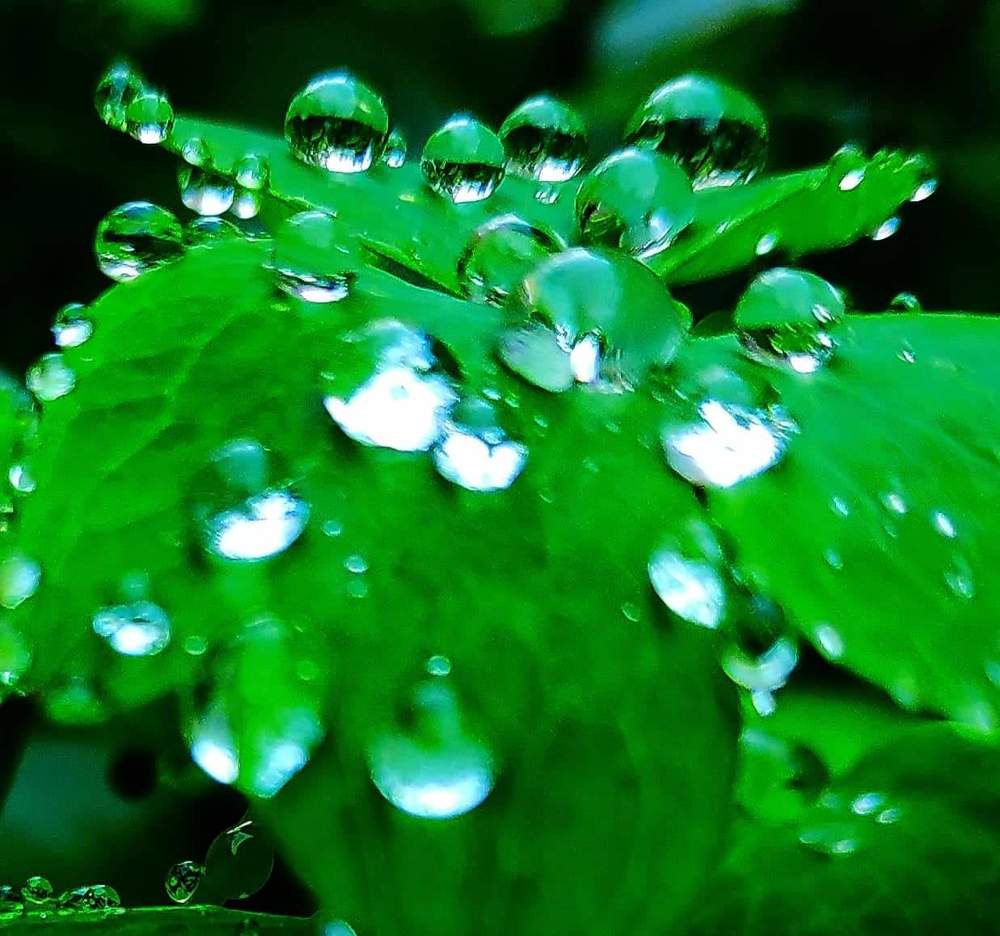 Photograph by Сергей Соломин