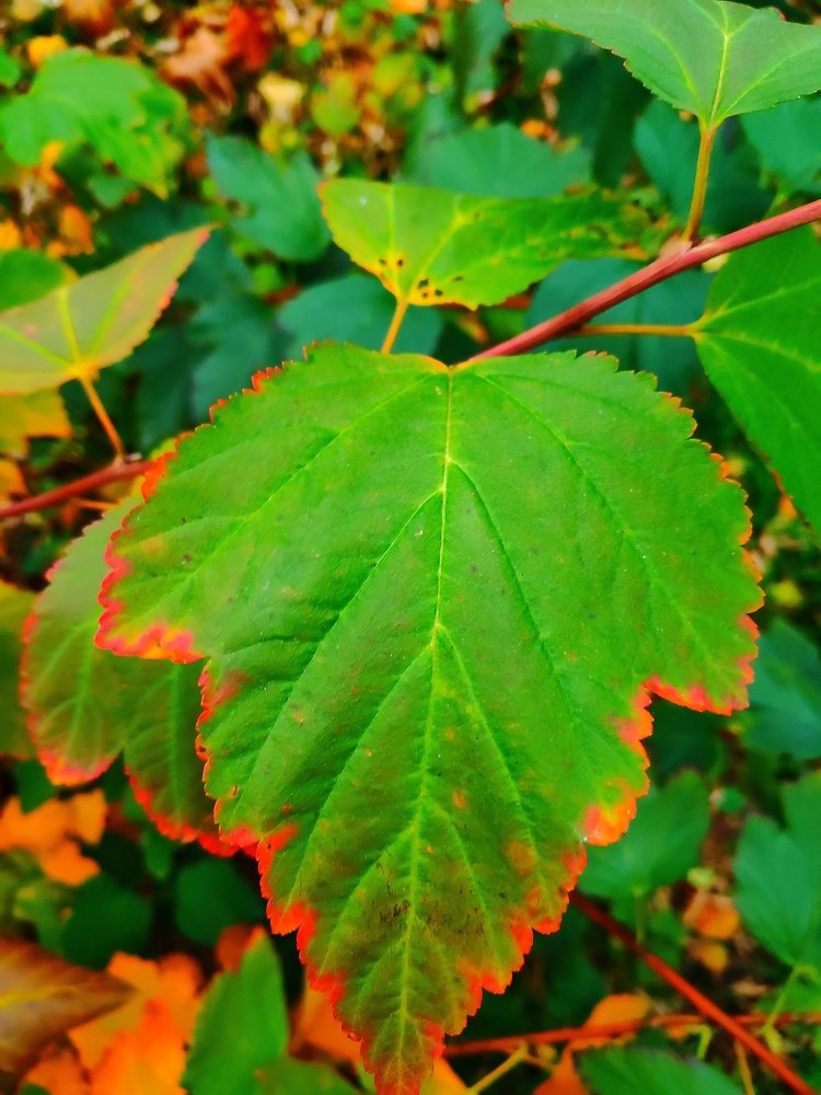 Photograph by Сергей Соломин