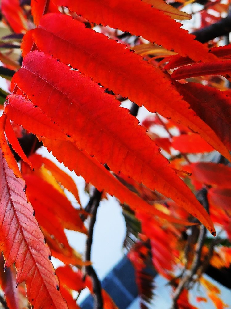 Photograph by Сергей Соломин