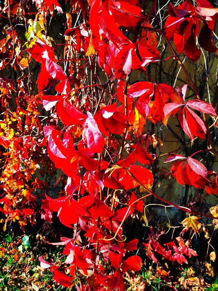 Photograph by Сергей Соломин