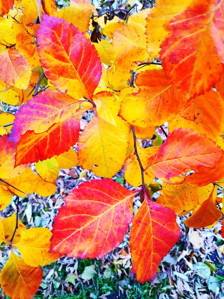 Photograph by Сергей Соломин