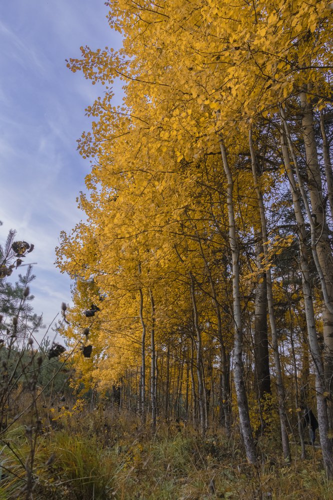 Photograph by Владислав Монахов