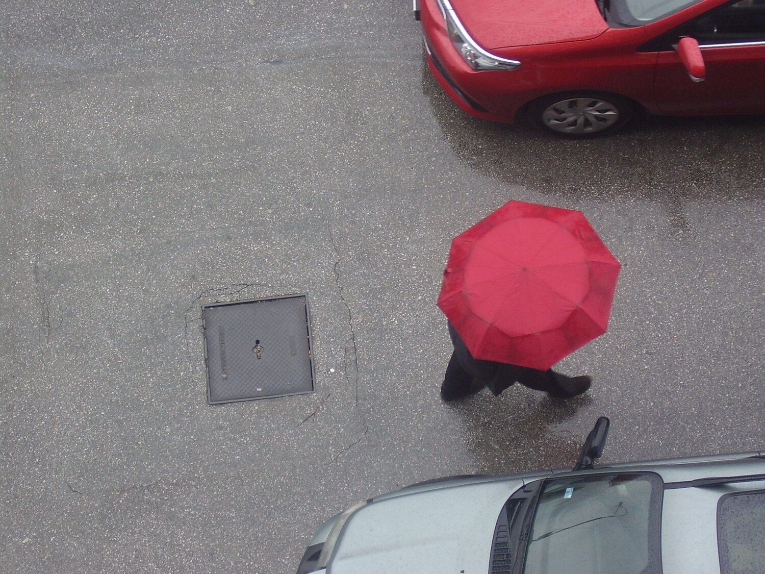 Photo #3784062