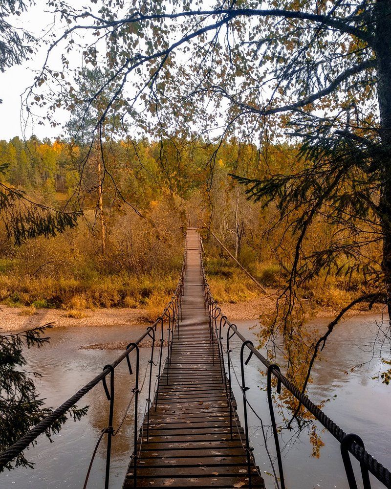 Photograph by Илья Толстоноженко