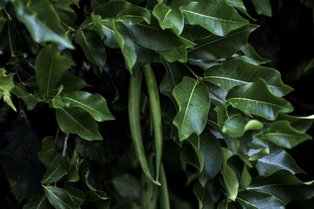 Photograph by Елена Шульженко