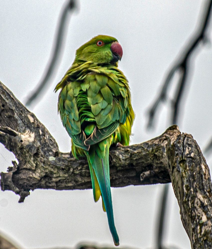 Photograph by Владислав Айзенберг