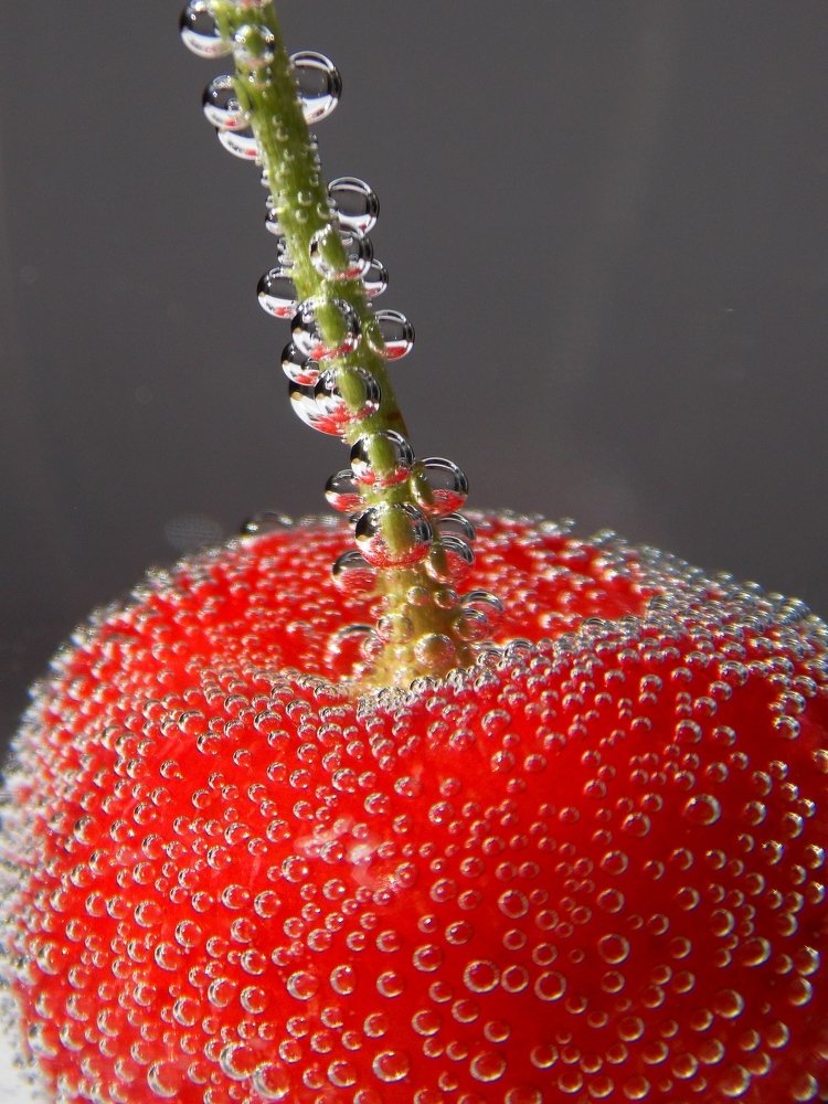 Photograph by Olja Simović