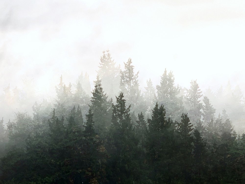 Photograph by Arezoo Mosaddegh