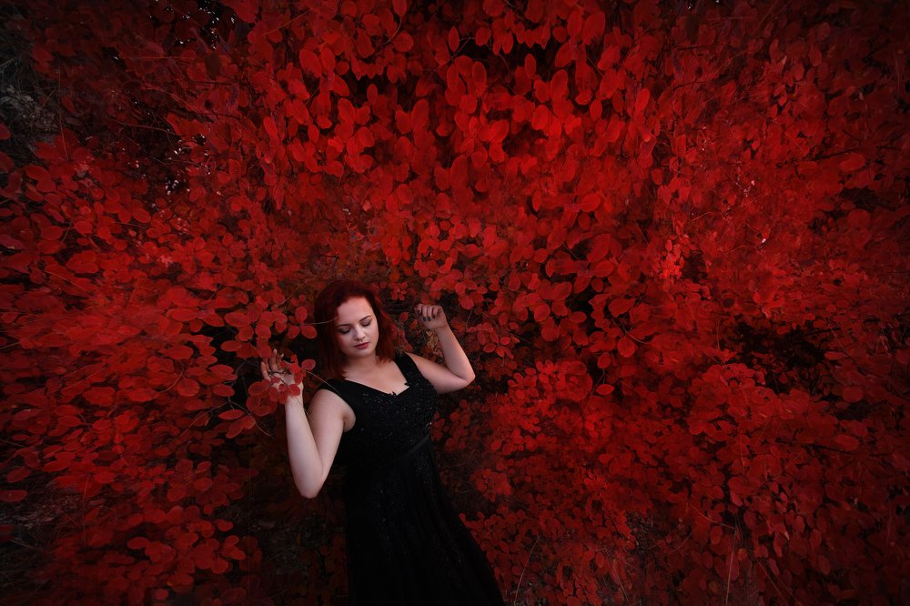 Photograph by Лилия Кулинич