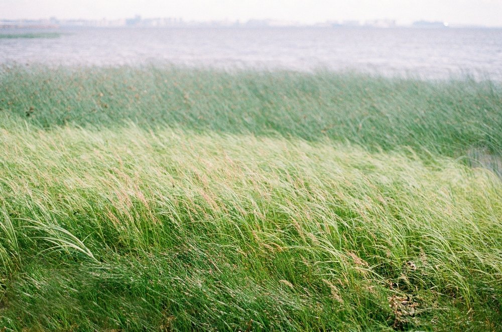 Photograph by София Гаязова