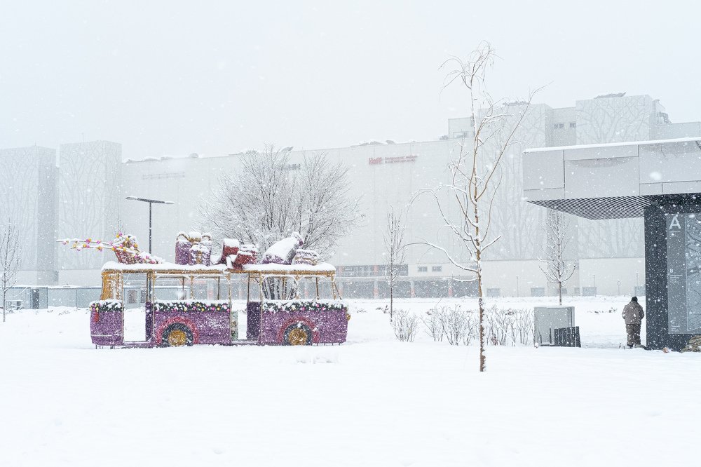 Photograph by Георгий Шилов