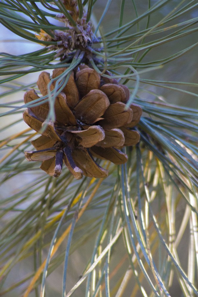 Photograph by Елена Демочкина