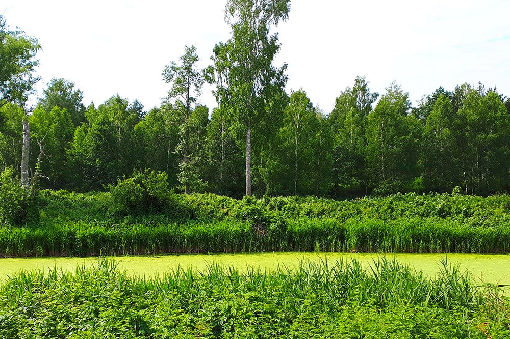 Photograph by Михаил Рассказ