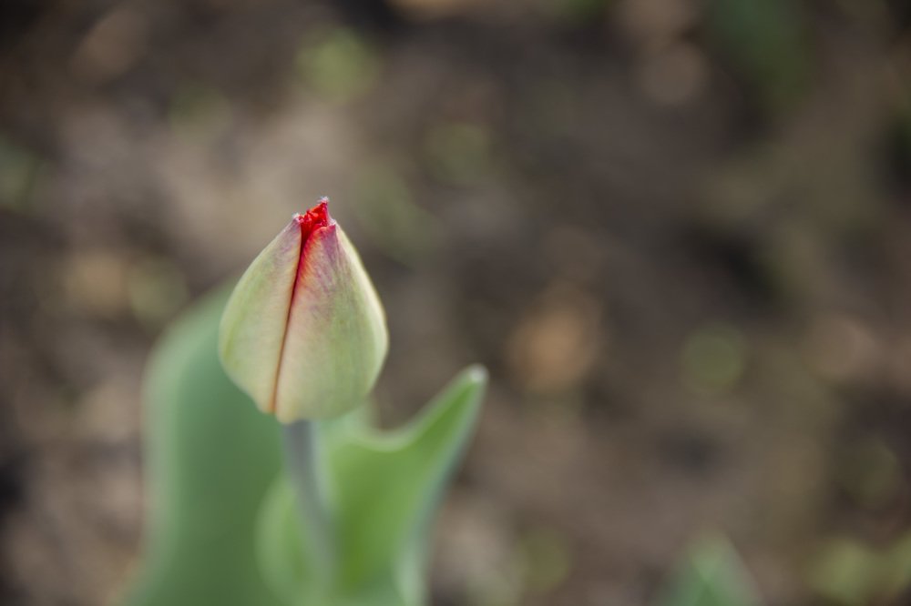 Photograph by Anna Gapanovich