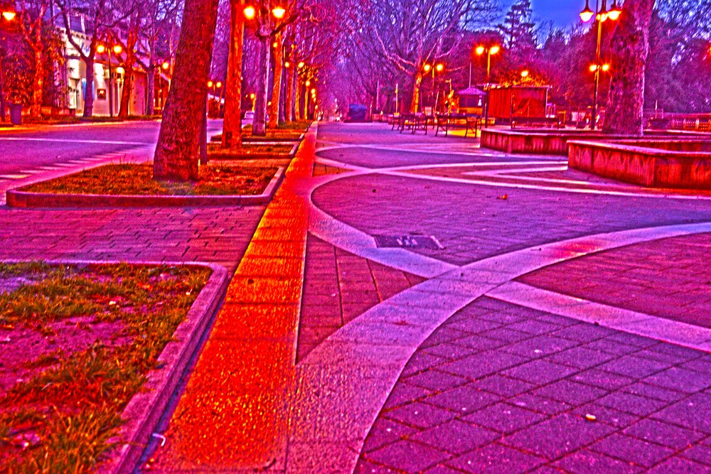 Photograph by Alexandra Mitakidis