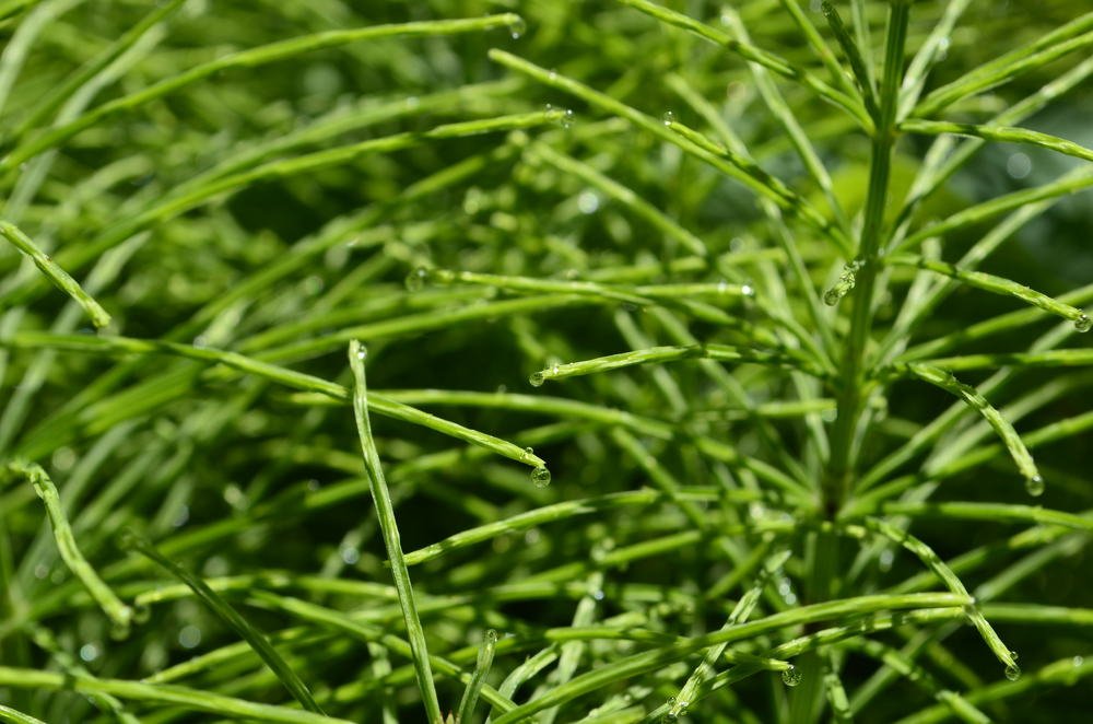 Photograph by Marina