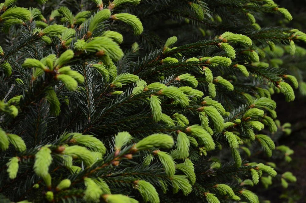 Photograph by Marina