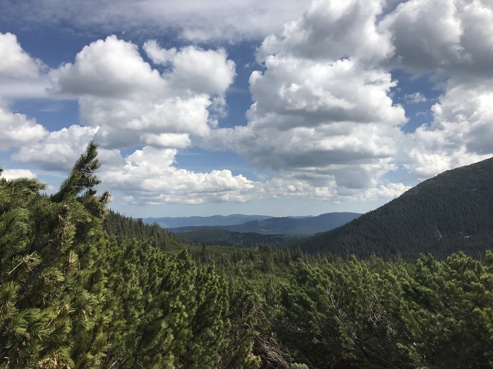 Photograph by Marina