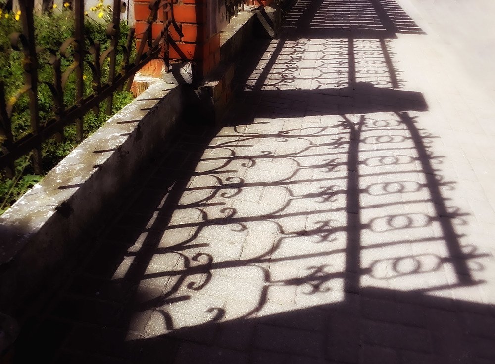 Photograph by Светлана Ковалёнок