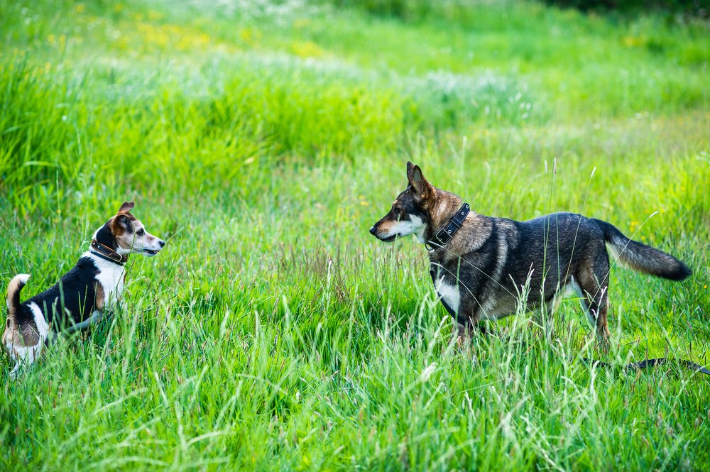 Photograph by Анастасия Ломаева
