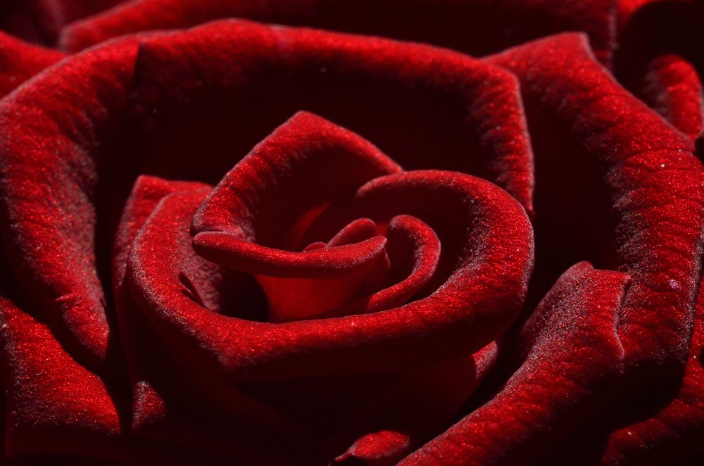 Photograph by Marina